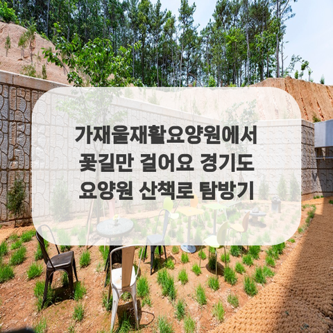 가재울재활요양원에서 꽃길만 걸어요 경기도 요양원 산책로 탐방기